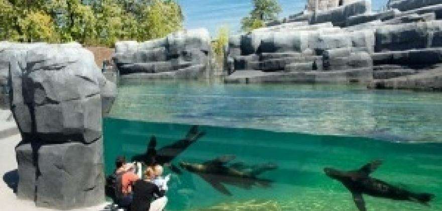 Visit the animals of Patagonia - and a fabulous aquarium