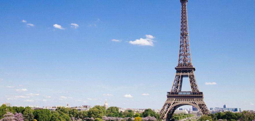 A Summer in Paris, a wealth of fun!