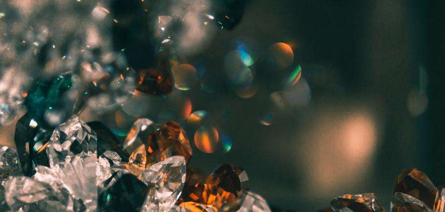 Van Cleef & Arpels at the National Museum of Natural History